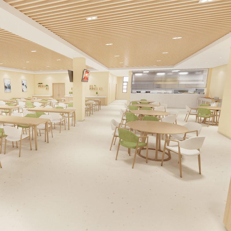 नर्सिंग होम के लिए पुनर्वास-देखभाल विशेष फर्श - मेडिकल-ग्रेड हाइजीनिक सुरक्षित शैली